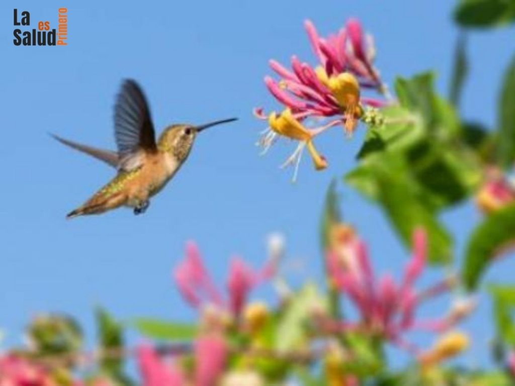 naturismo para el estres