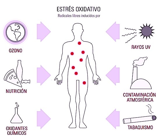 productos activz en tijuana