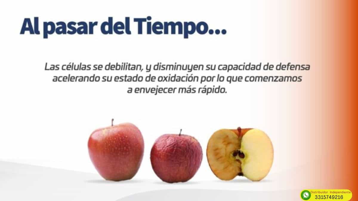 Activz epigenética en Tijuana 4