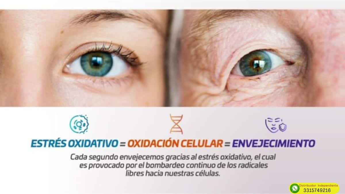 Activz epigenética en Tijuana 3