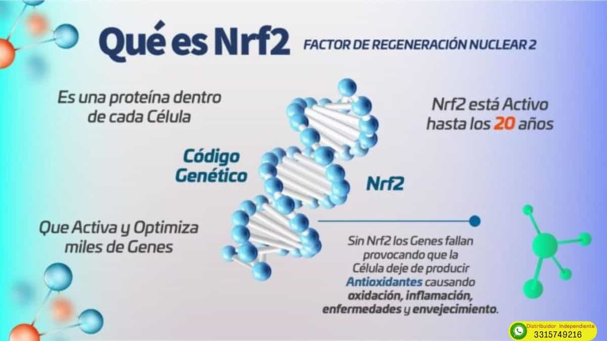 Activz epigenética en Tijuana 5