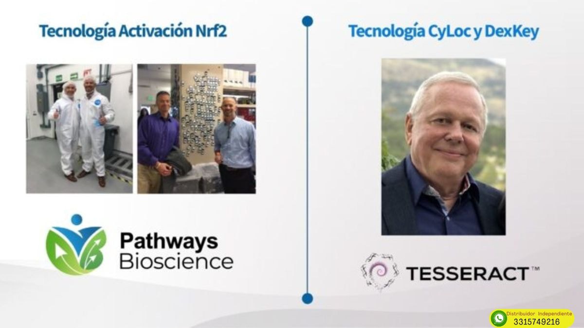 Activz en Tijuana laboratorios Pathways