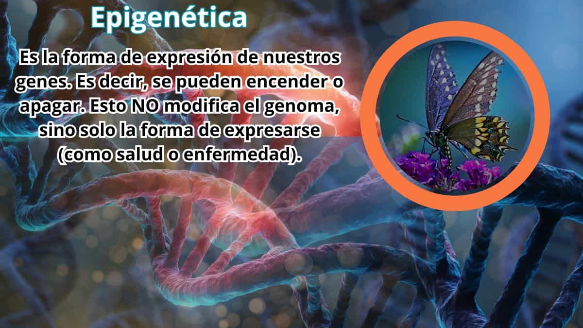 Activz en Tijuana -centro de distribución