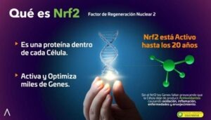 Activz apoyo para articulaciones y bienestar en Guadalajara