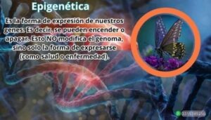Activz estilo de vida wellness en Guadalajara