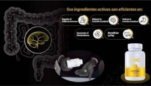 Activz bienestar integral para parejas activas en Tijuana