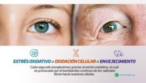 Activz bienestar premium para adultos activos en Guadalajara